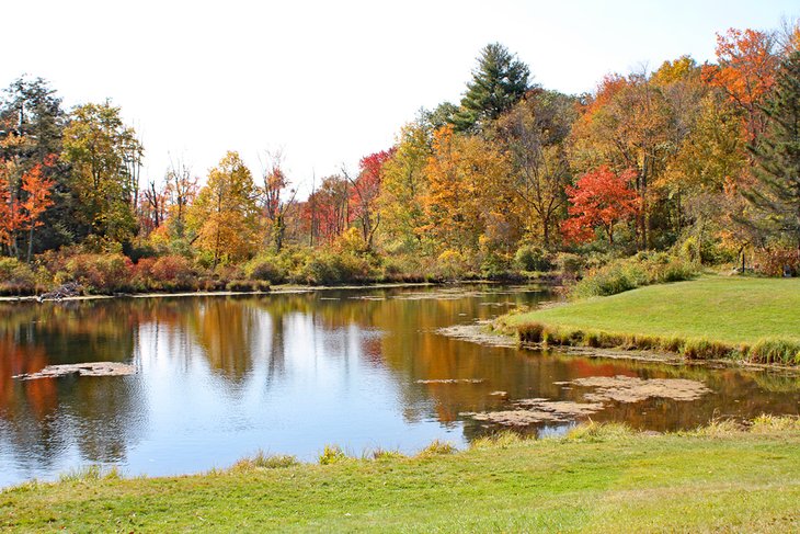 White Memorial Conservation Center