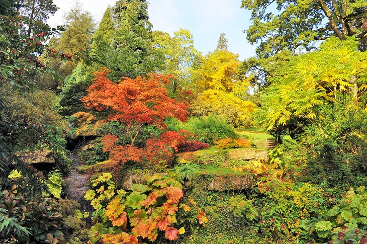 Batsford Arboretum & Garden Centre