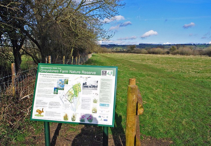 Greystone's Farm Nature Reserve