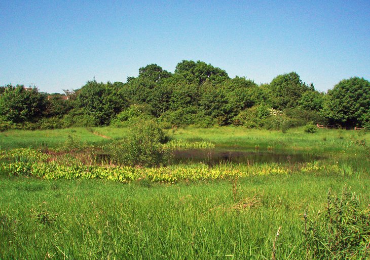 Highwoods County Park