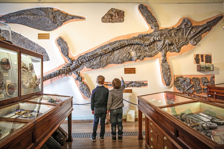 Boys looking at an Ichthyosaur in the Whitby Museum