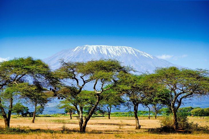 Parc national d'Amboseli avec le mont Kilimandjaro au loin