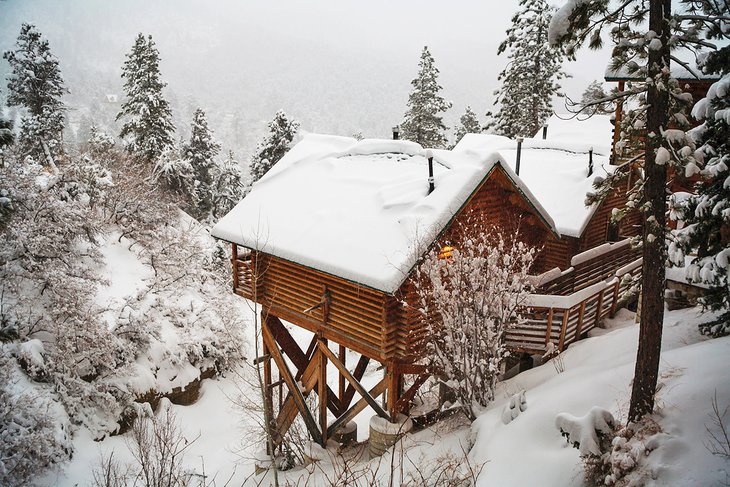 Cabins on Mount Charleston