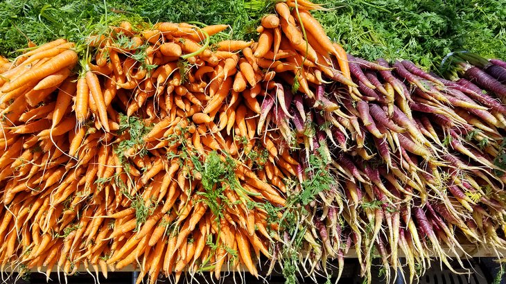 Freshly picked carrots at the farmers market