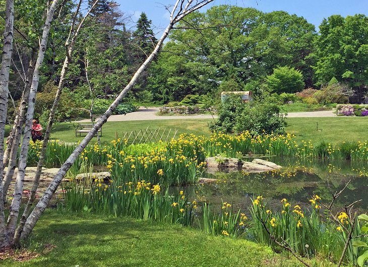 Stonecrop Gardens