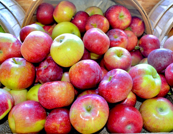 Pommes de la vallée de l'Hudson au marché fermier