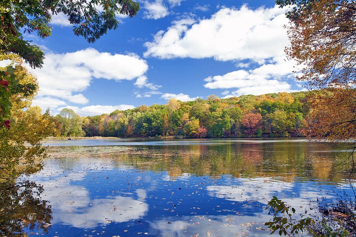 Rockefeller State Park Preserve