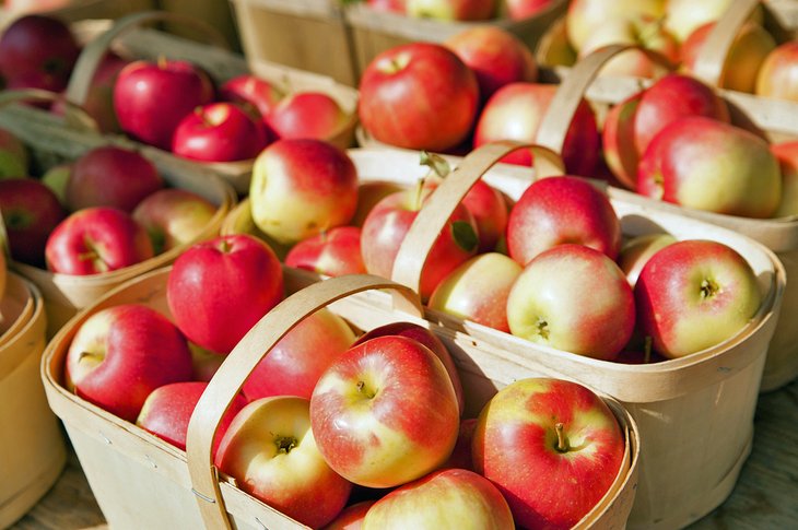 Paniers de pommes au marché de producteurs