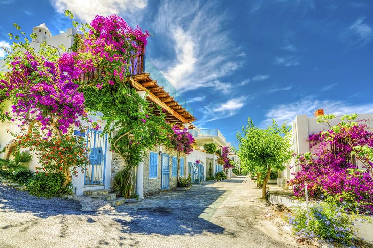 Street view in Bodrum