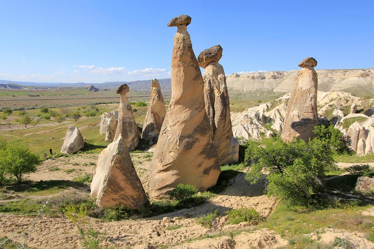 Fairy chimneys, rock formations of tufa, Cappadocia