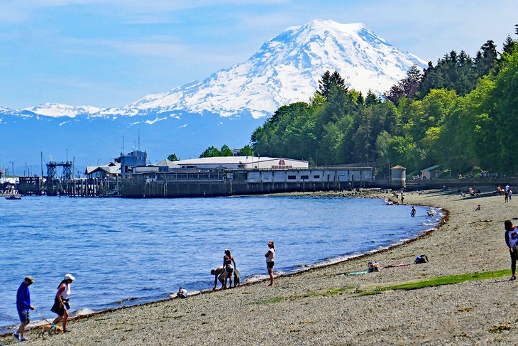 Le mont Rainier surplombe Owen Beach