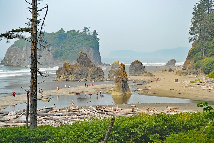 13 mejores playas en el estado de Washington