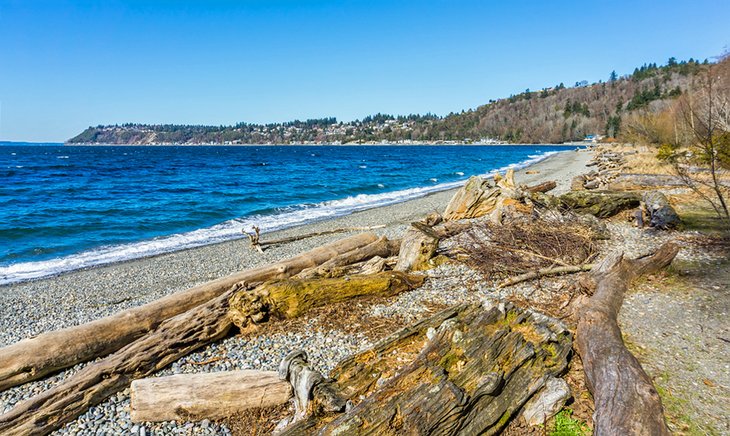 Shoreline at Seahurst Park