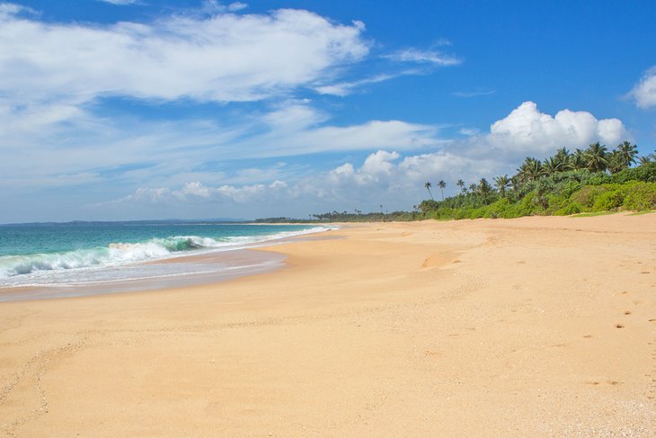 12 mejores playas en Anguila
