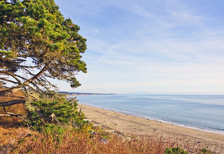 10 mejores playas en Santa Cruz, CA