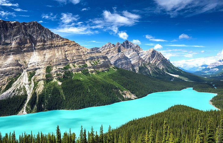 Peyto Lake