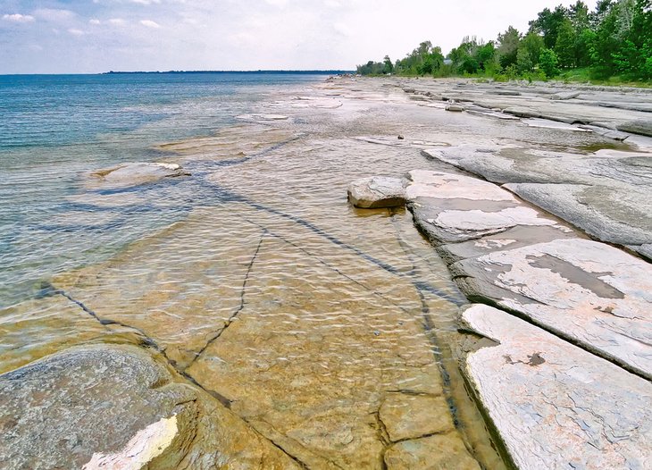 Craigleith Provincial Park