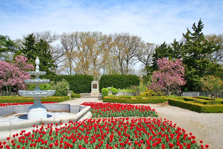 The Royal Botanical Gardens