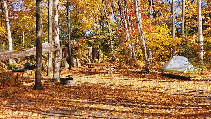 Campsite in Killarney Provincial Park