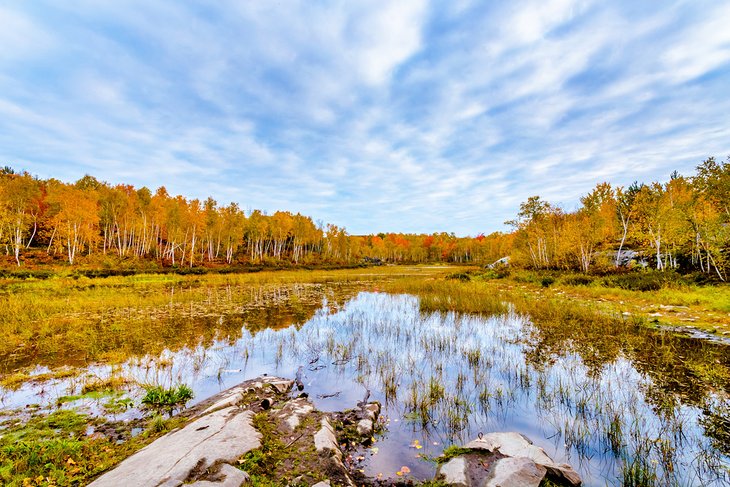 Lake Laurentian Conservation Area