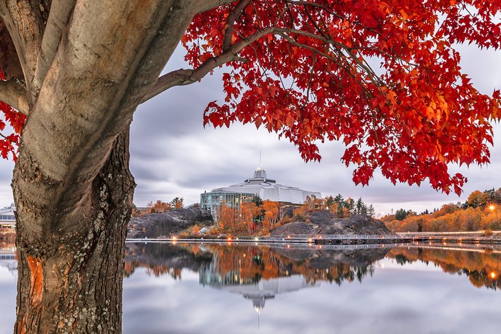 A red maple frames the shores of Ramsey Lake and Science North in Sudbury