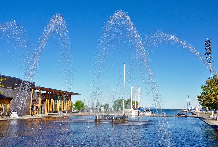 Fountains at Marina Park