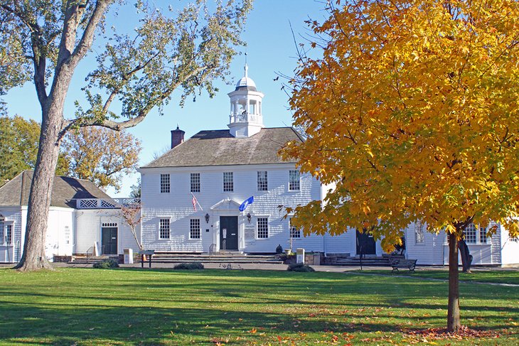 A vibrant oak tree in front of the Old Town Hall