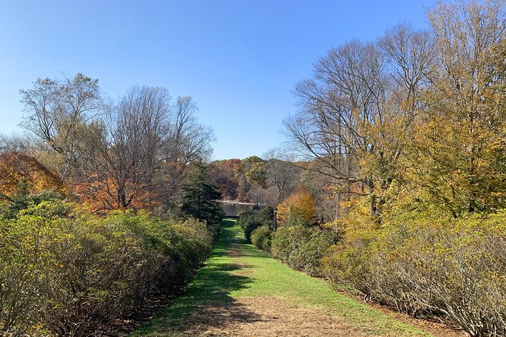 Un sentier luxuriant mène à un étang au Connecticut College Arboretum