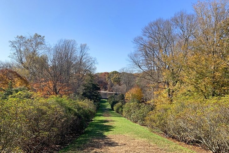 A lush pathway leads to a pond at the Connecticut College Arboretum