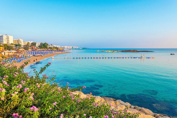 Fig Tree Bay