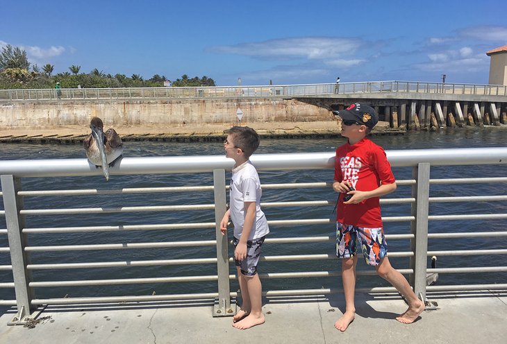 The writer's son and nephew make friends with a pelican on the jetty at Boynton Beach Inlet.