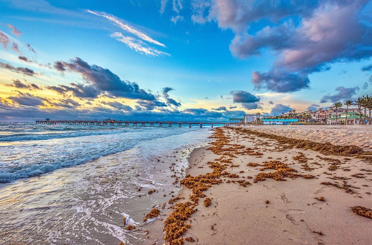 View of the International Fishing Pier at sunset