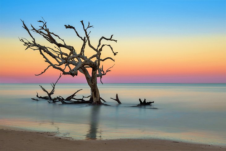 Driftwood Beach