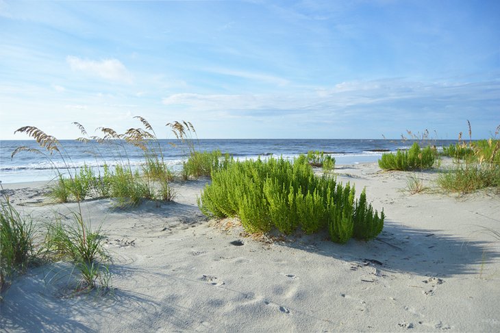 East Beach on St. Simons Island