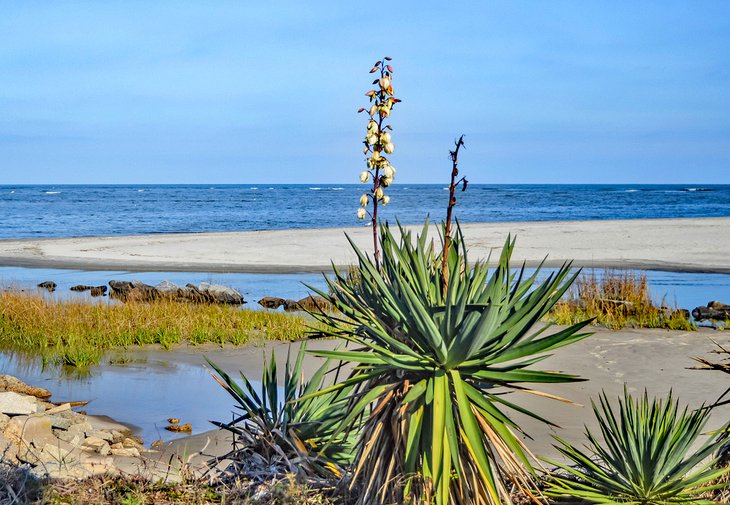 14 mejores playas de Georgia