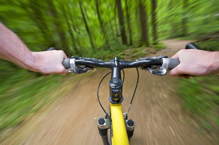 Mountain biking through the forest