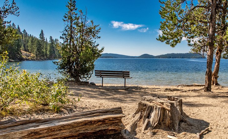 Payette Lake shoreline