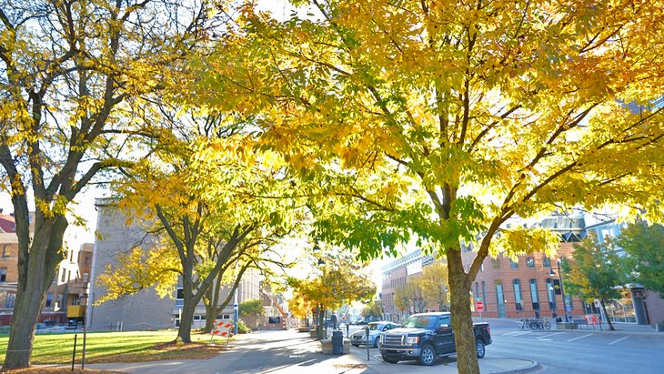 Autumn in downtown Iowa City