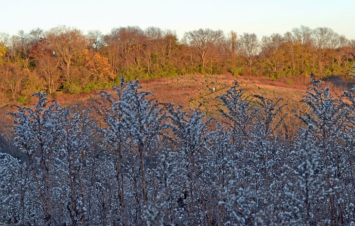 Hickory Hill Park