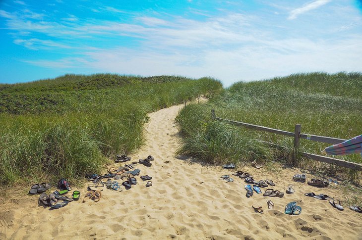 Pathway to Ladies' Beach