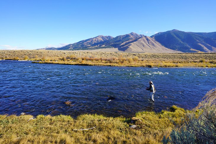 Fly fisherman on the Madison River