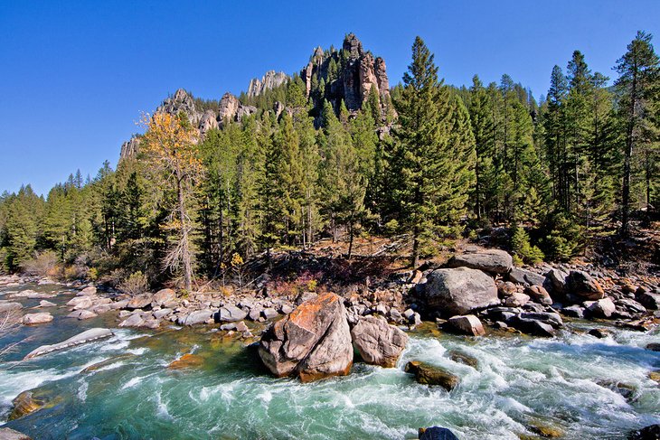 Rapids on the Gallatin River