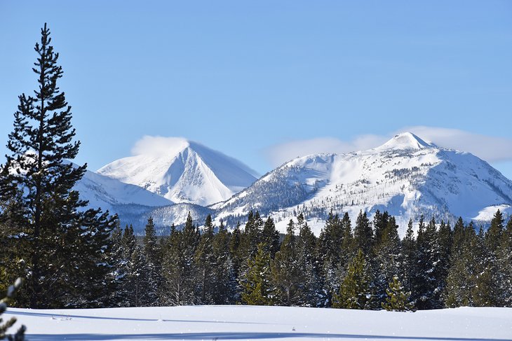 Yellowstone in Winter