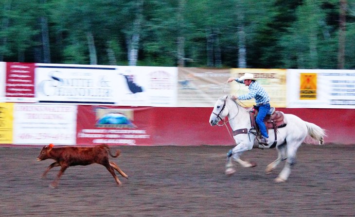 Wild West Yellowstone Rodeo