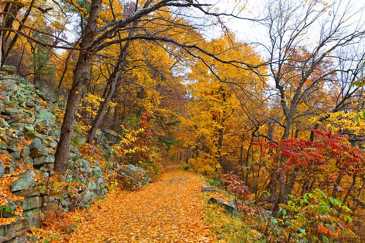 The Mohonk Preserve in the fall