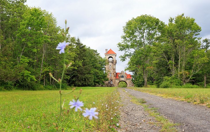 Mohonk Testimonial Gateway