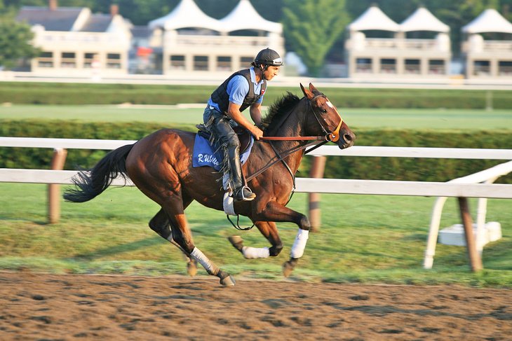 Horse rider at the Saratoga Race Course