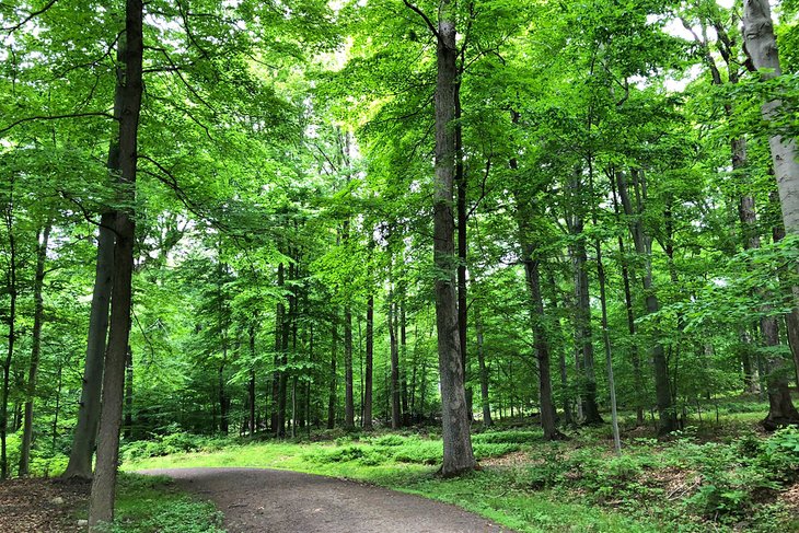 Rockefeller State Park Preserve