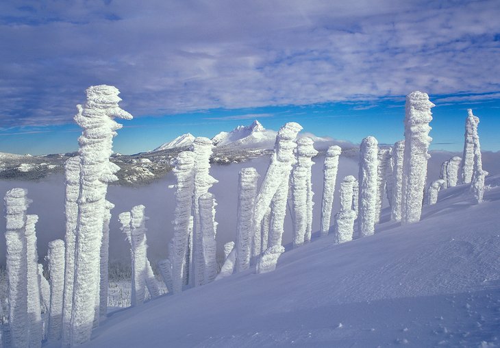 Snow-encrusted dead trees on top of Hoodoo Butte