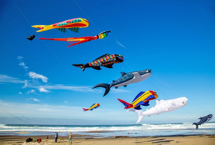 Flying kites at Lincoln City Kite Festival